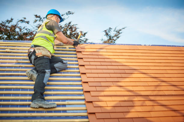 Best Asphalt Shingle Roofing  in Monument, CO